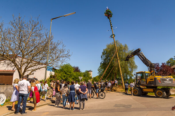 Thumbnail: _JA 31401 Maifest Hohenried 2026.jpg